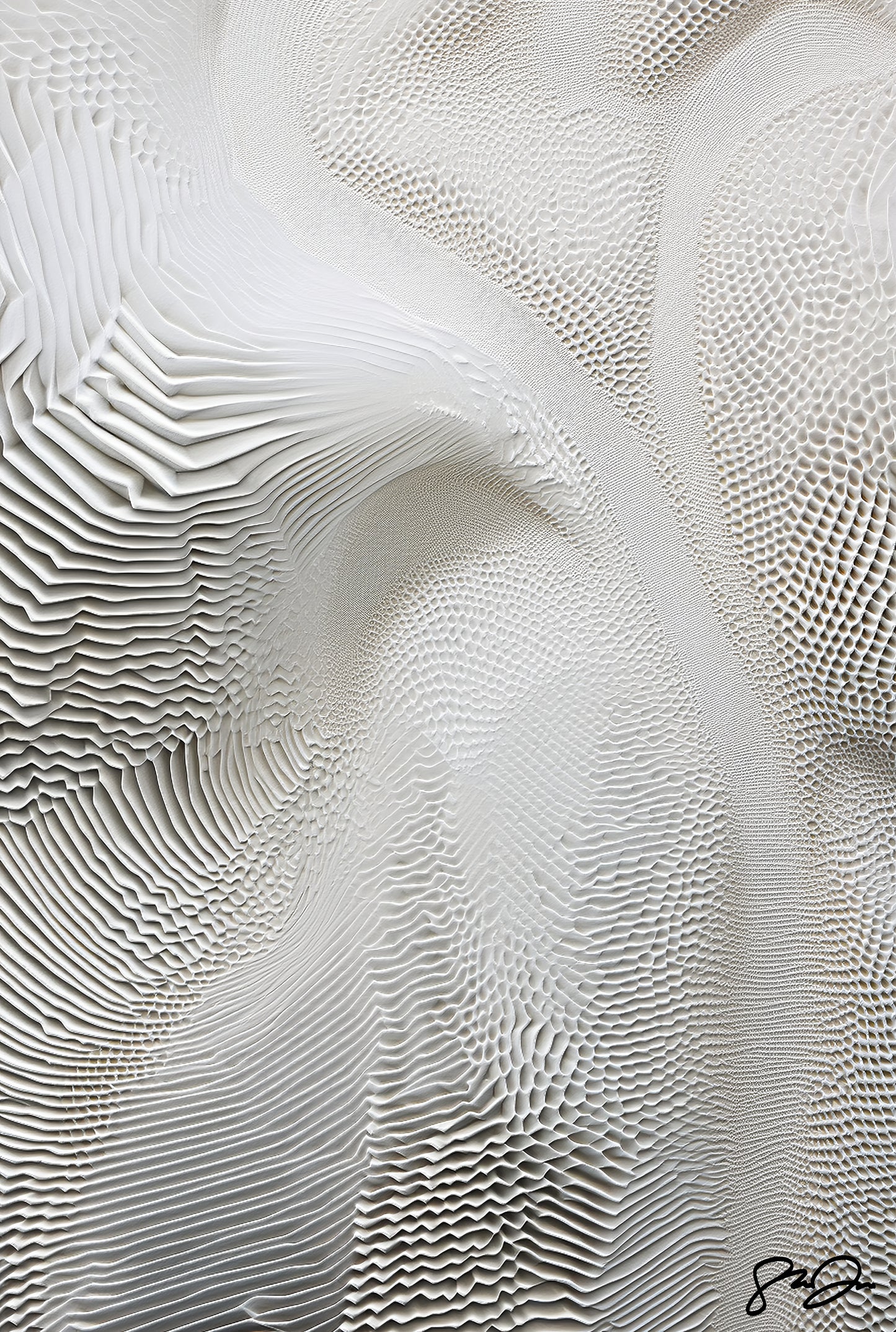 Imagination 225
