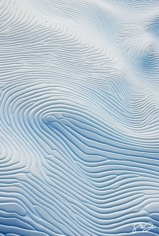 Anomaly AI 264