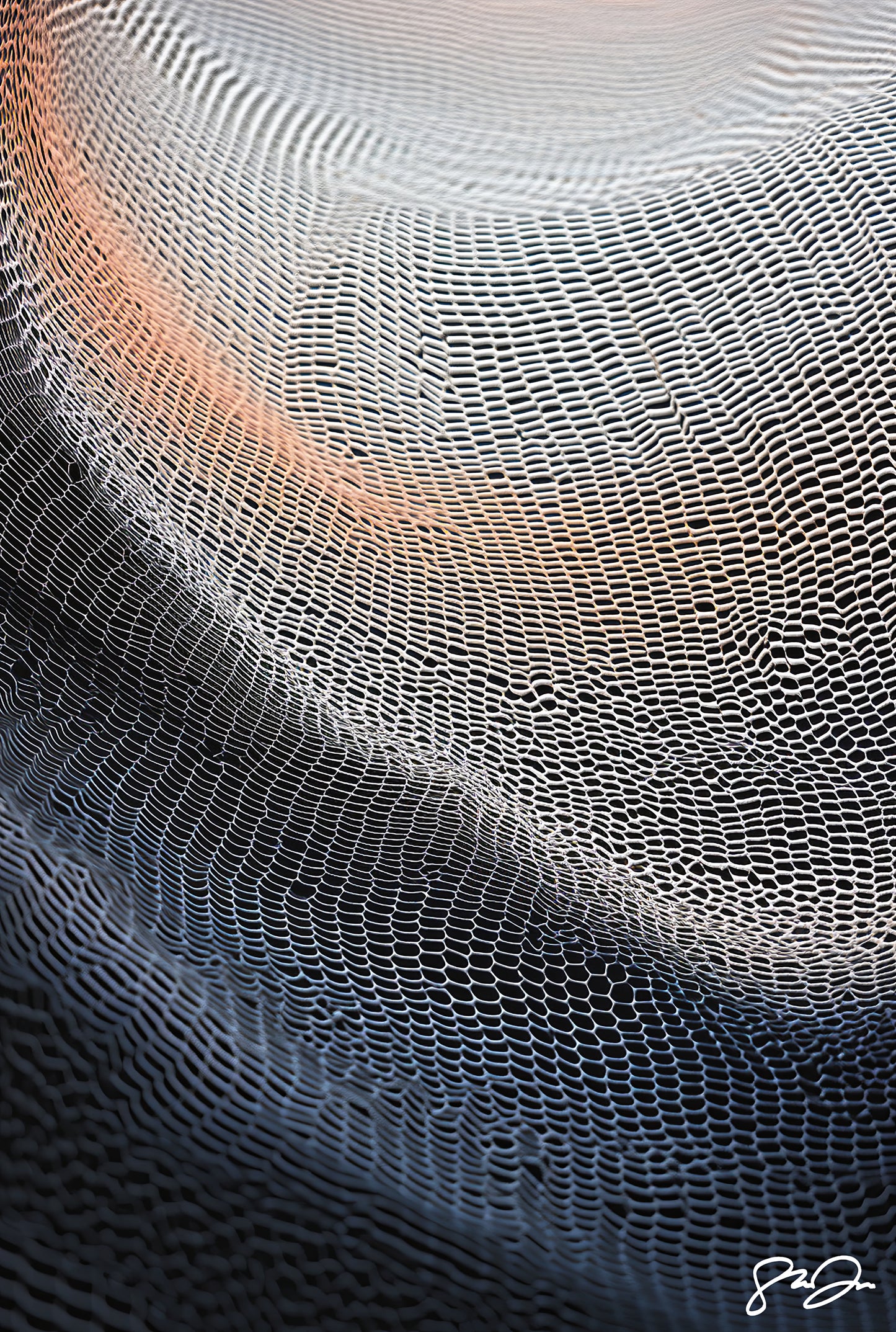 Imagination 283