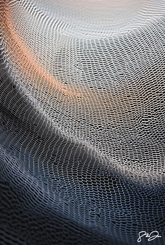 Anomaly AI 283