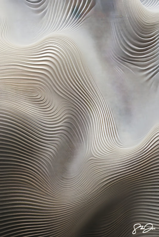 Anomaly AI 031