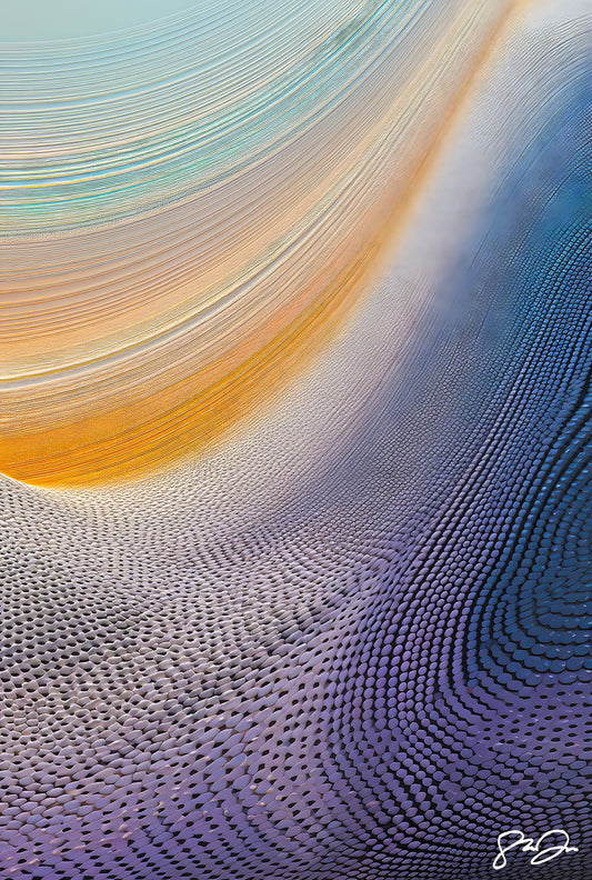 Anomaly AI 038