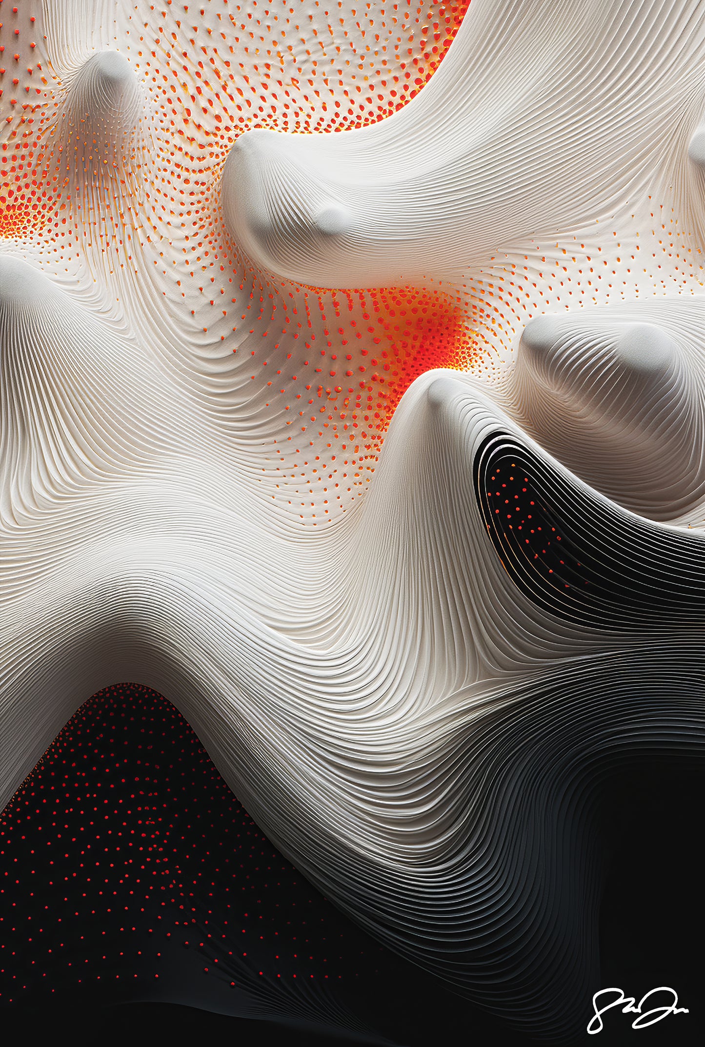 Imagination 428