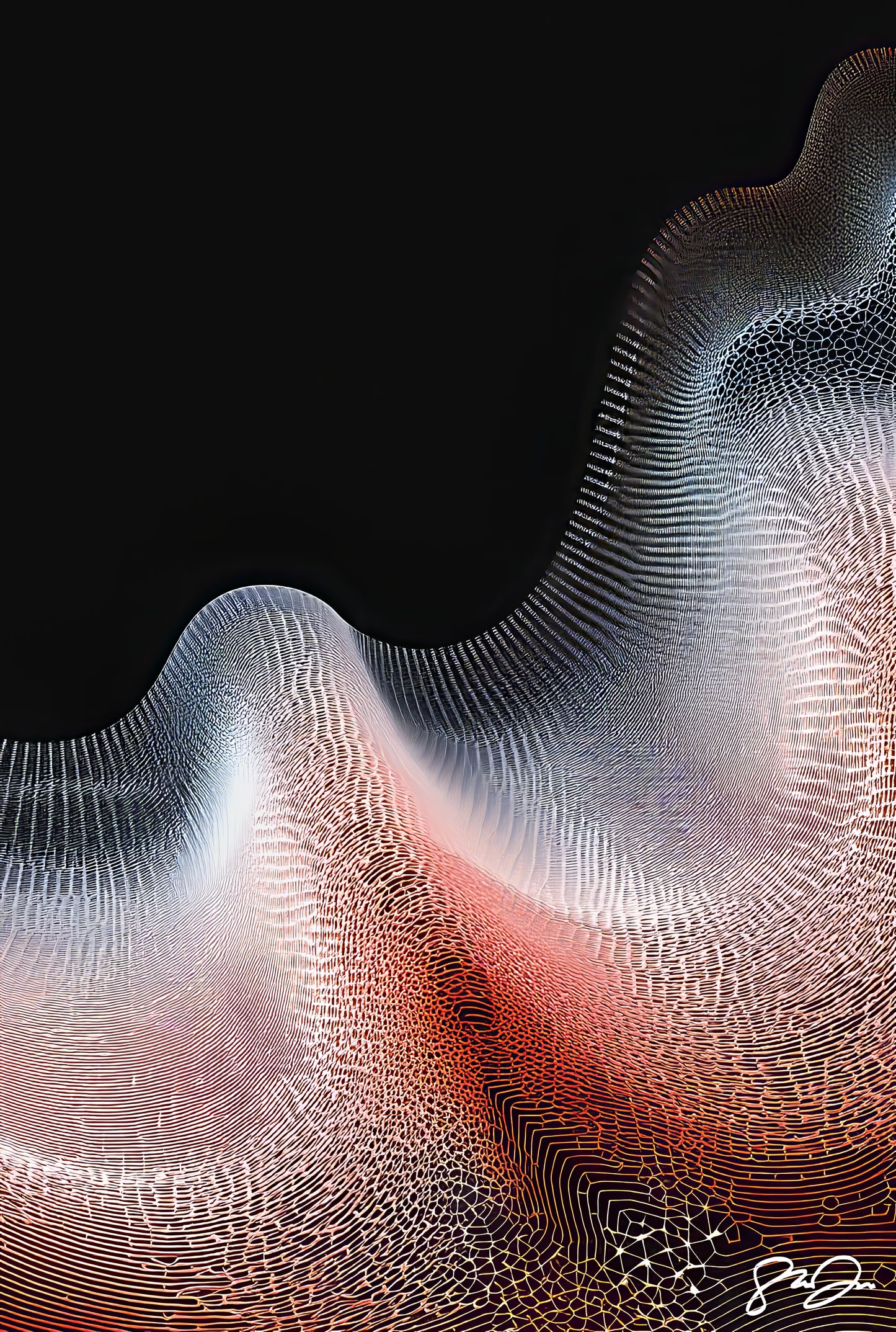 Imagination 505