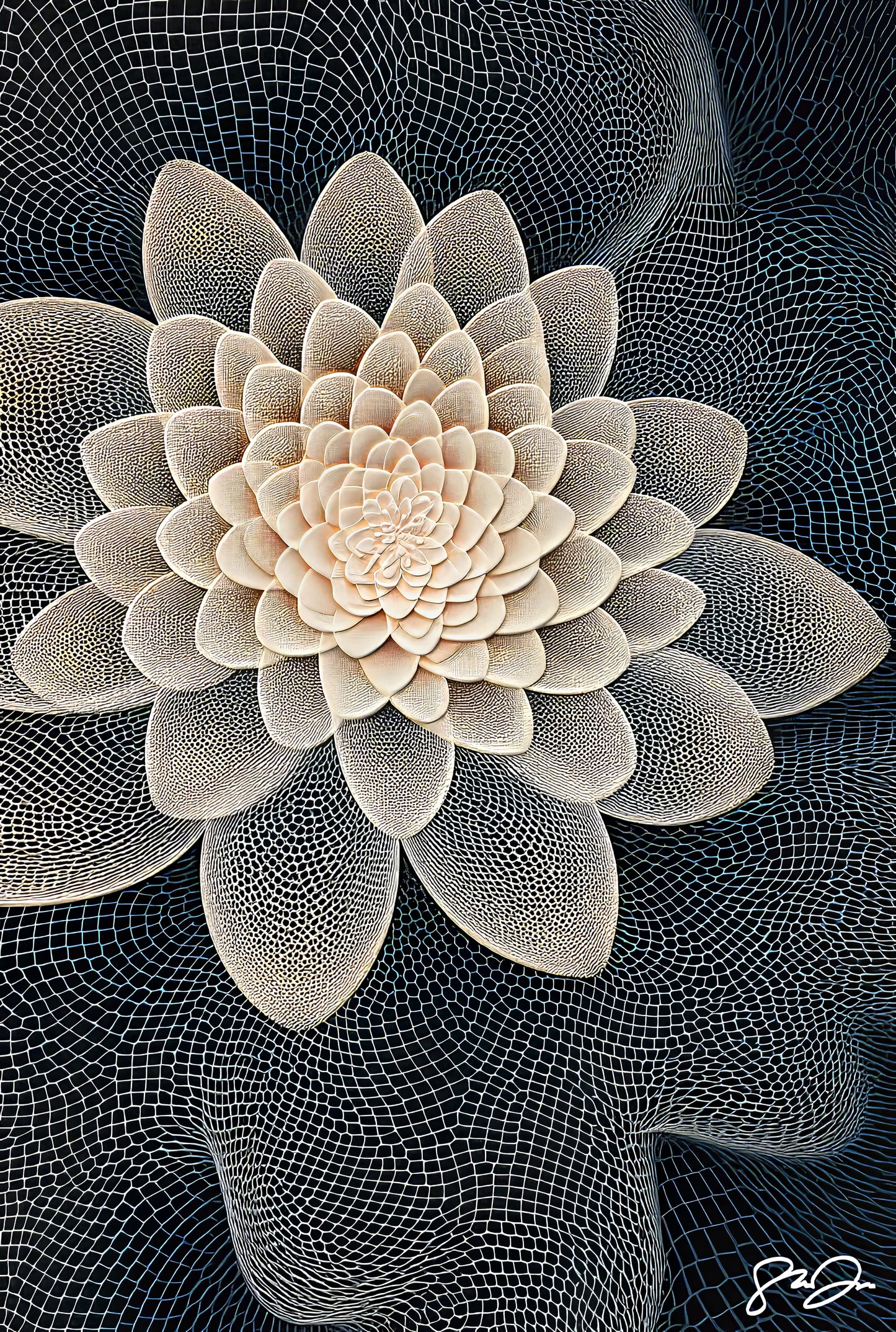 Imagination 051