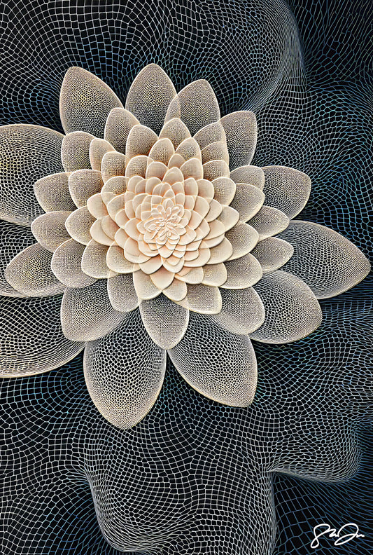 Anomaly AI 051