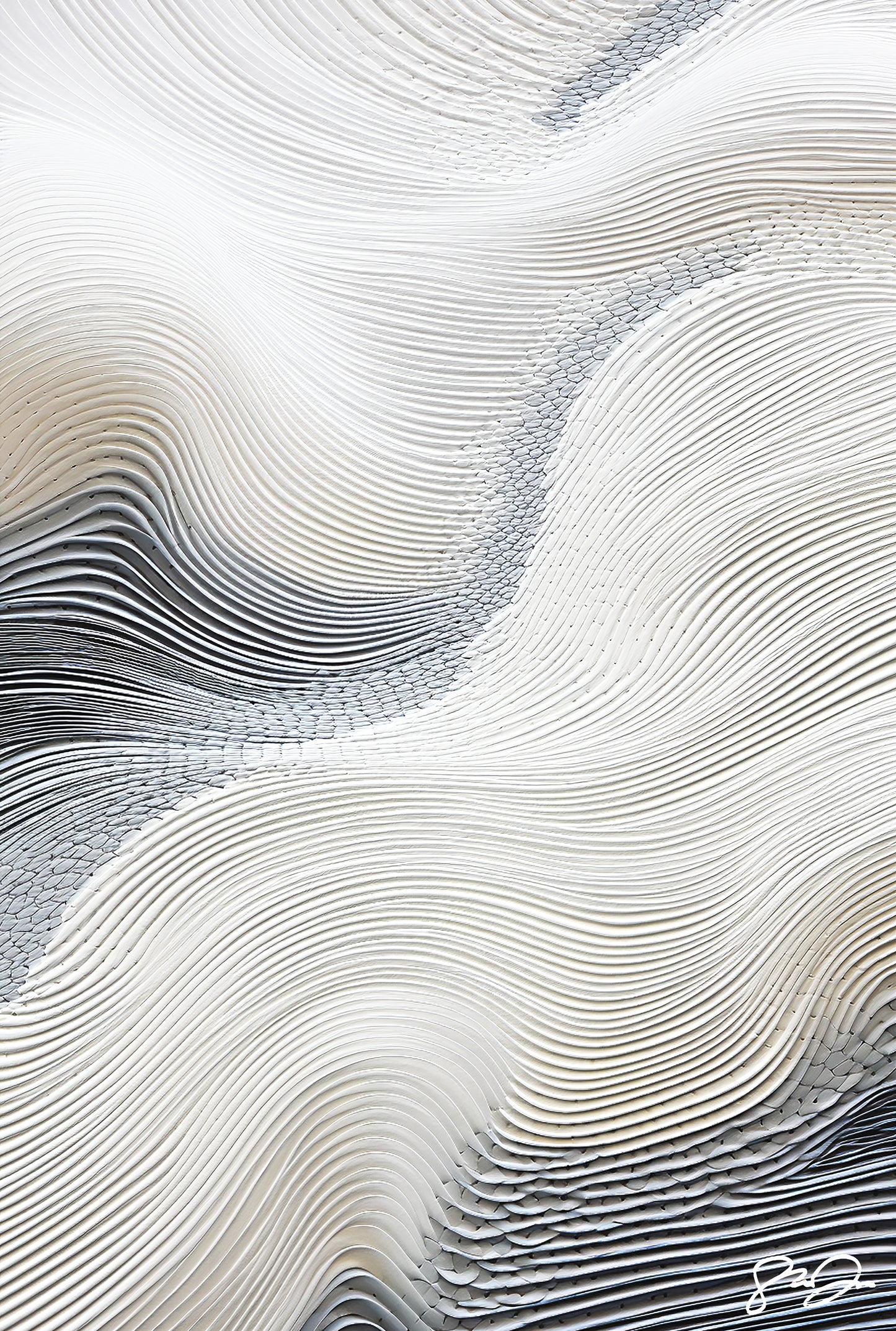 Imagination 541