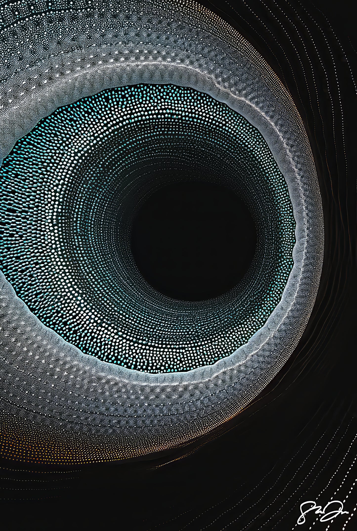 Imagination 584