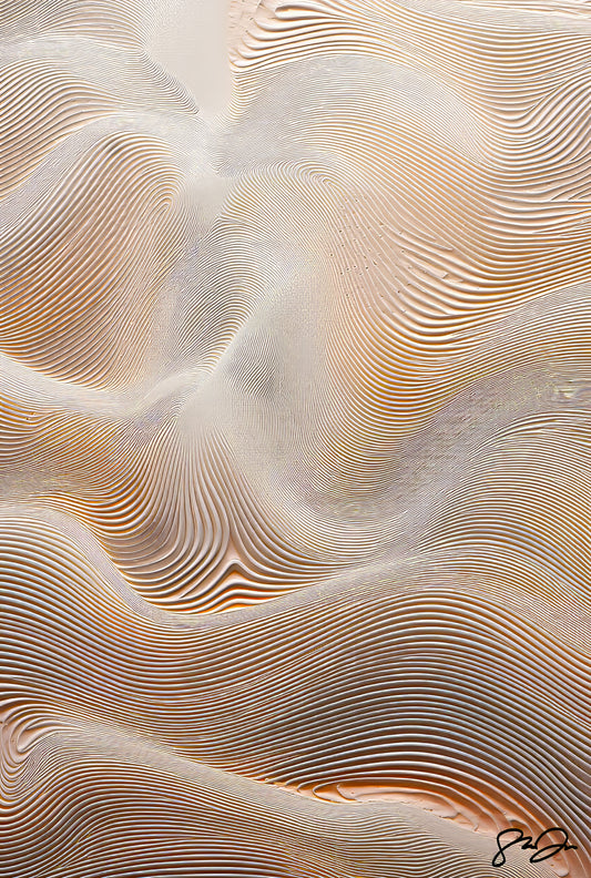 Anomaly AI 072