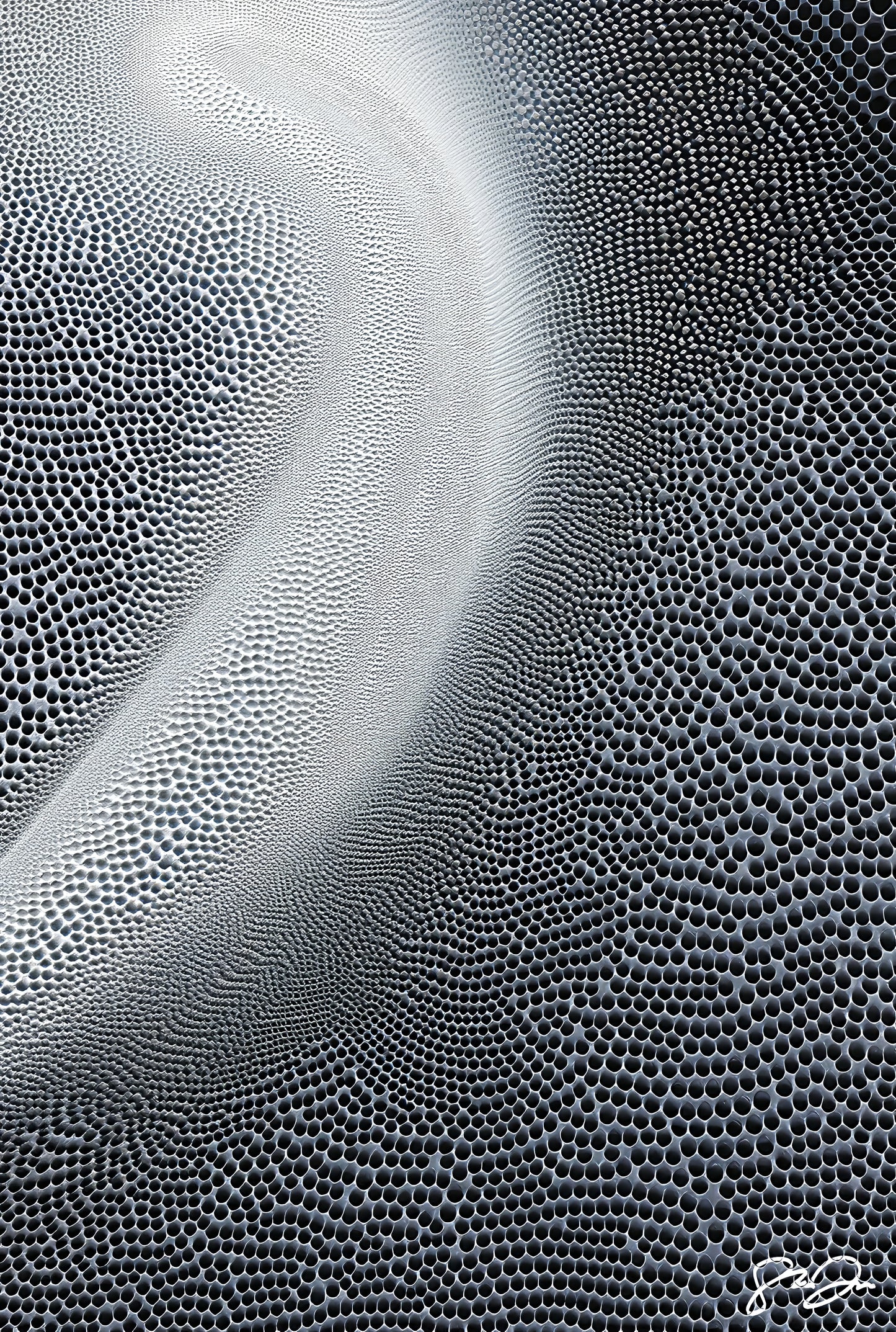 Imagination 081