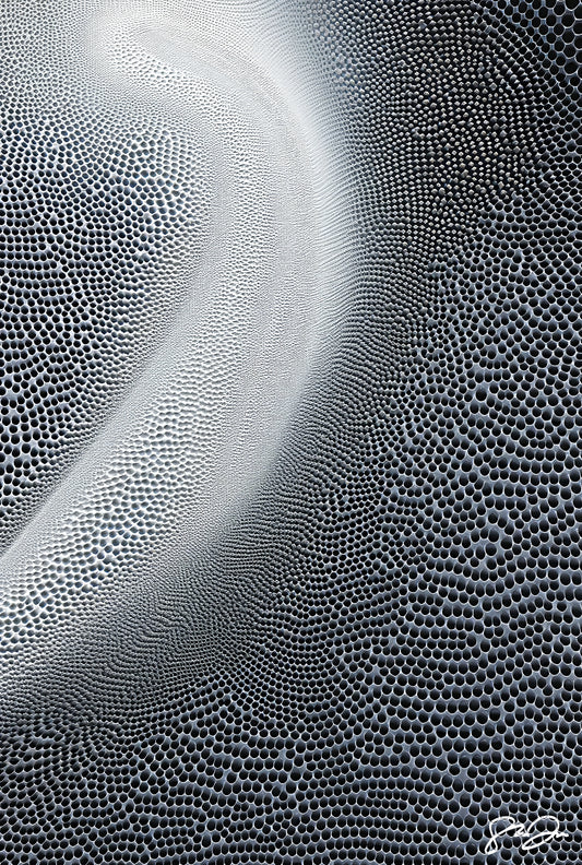Anomaly AI 081