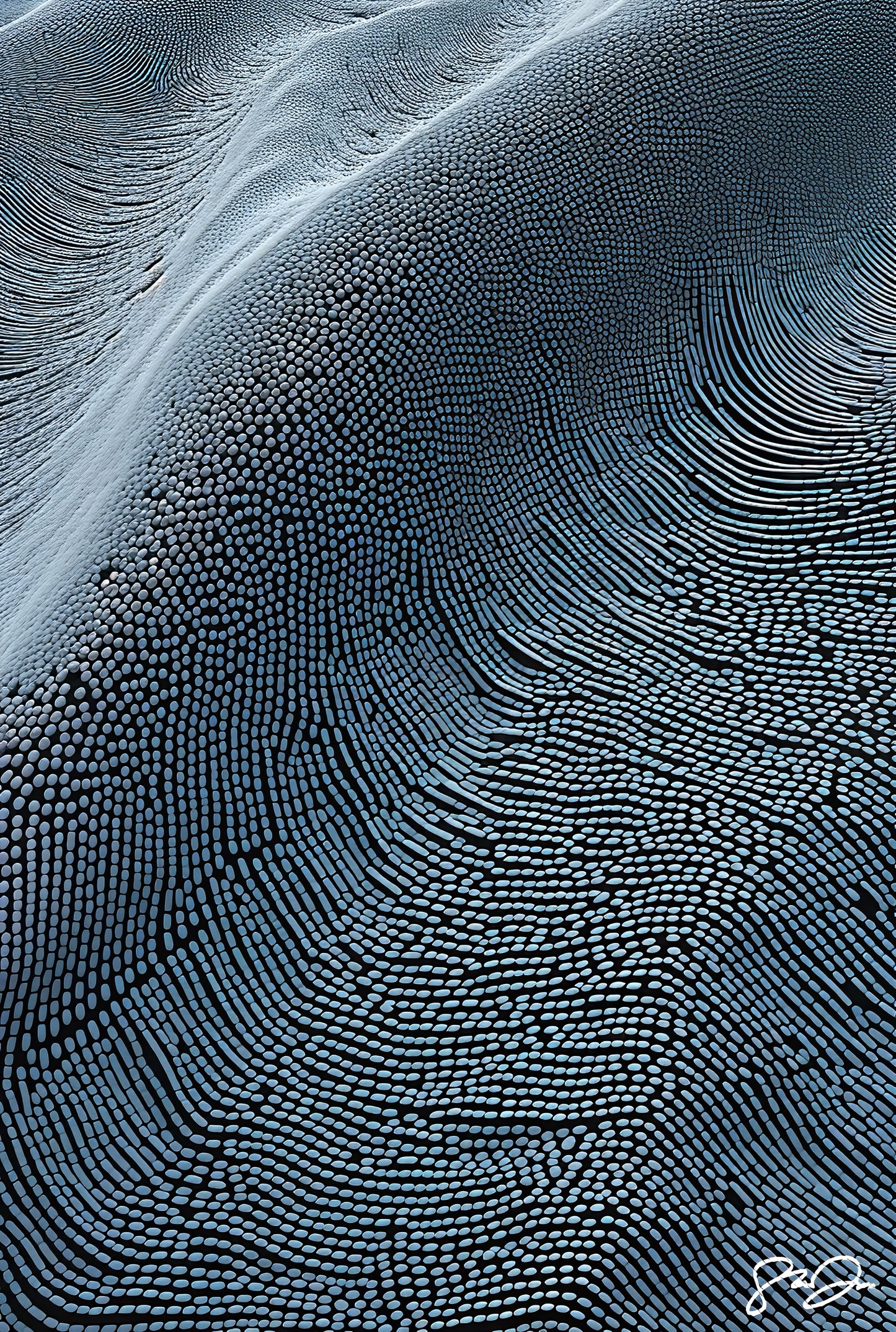 Imagination 091
