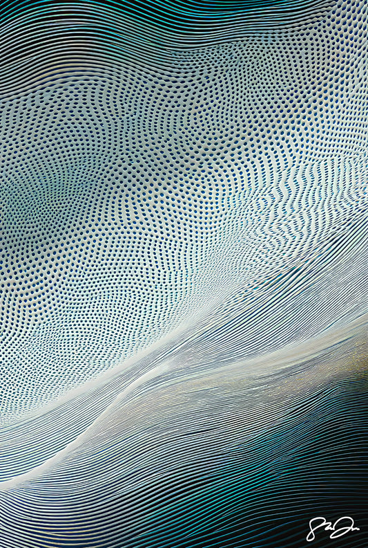 Anomaly AI 096